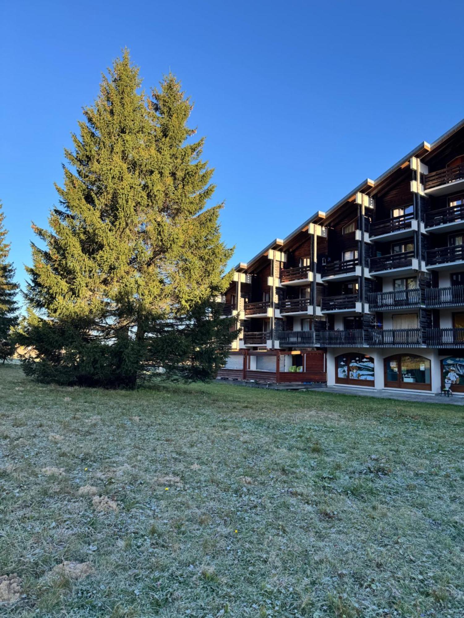La Morte Superbe Studio De Montagne, Au Pied Des Pistes De Ski, Classe 3 Etoiles מראה חיצוני תמונה